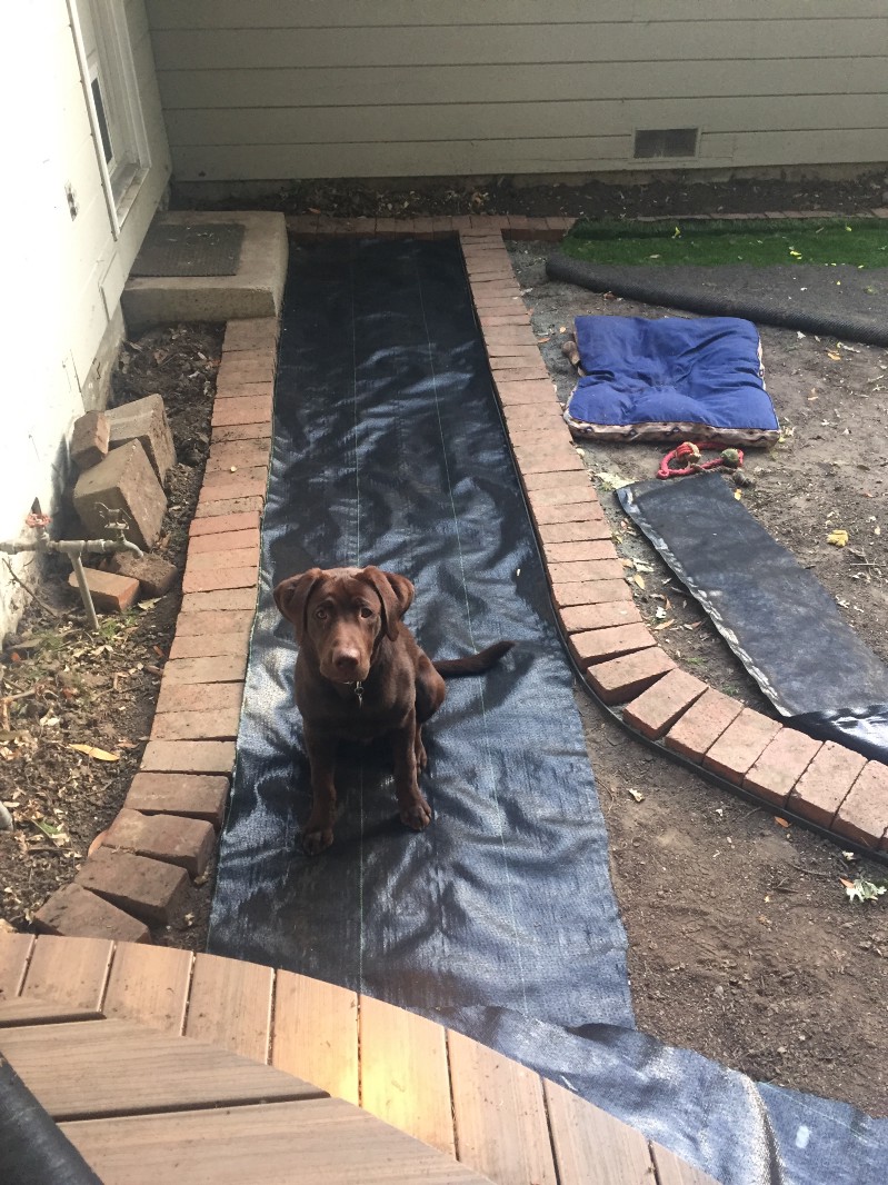 Blue watching work