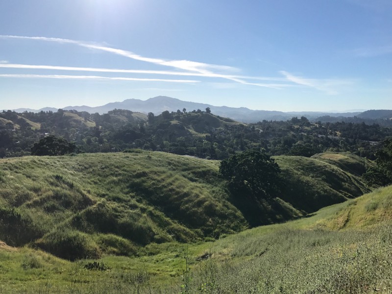 View of Mt. Diablo from hills near daughter's pre-school