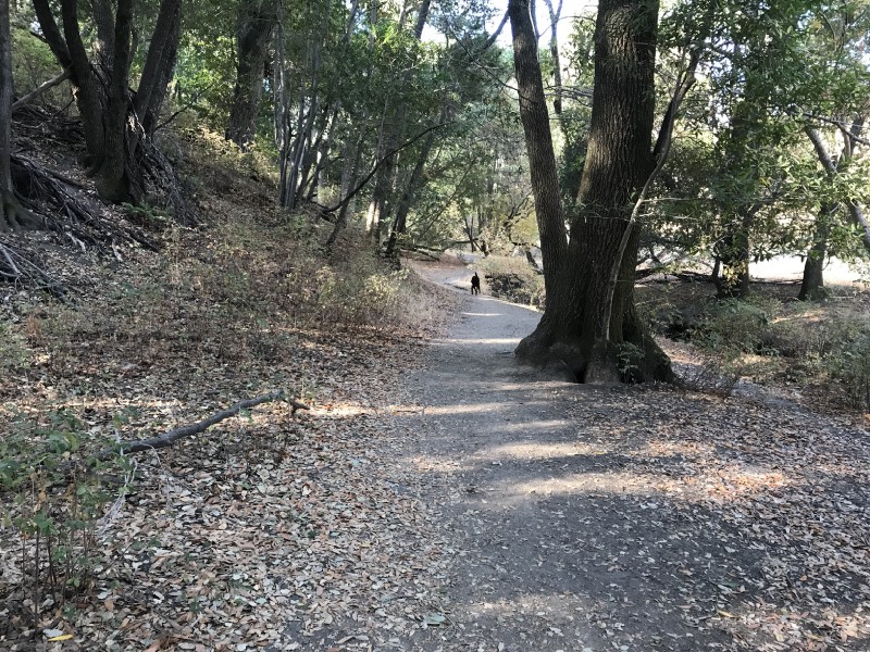 Morning hike view