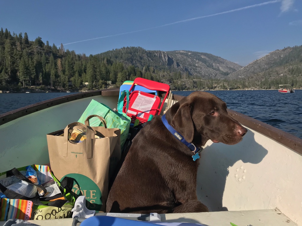 Pinecrest cabin