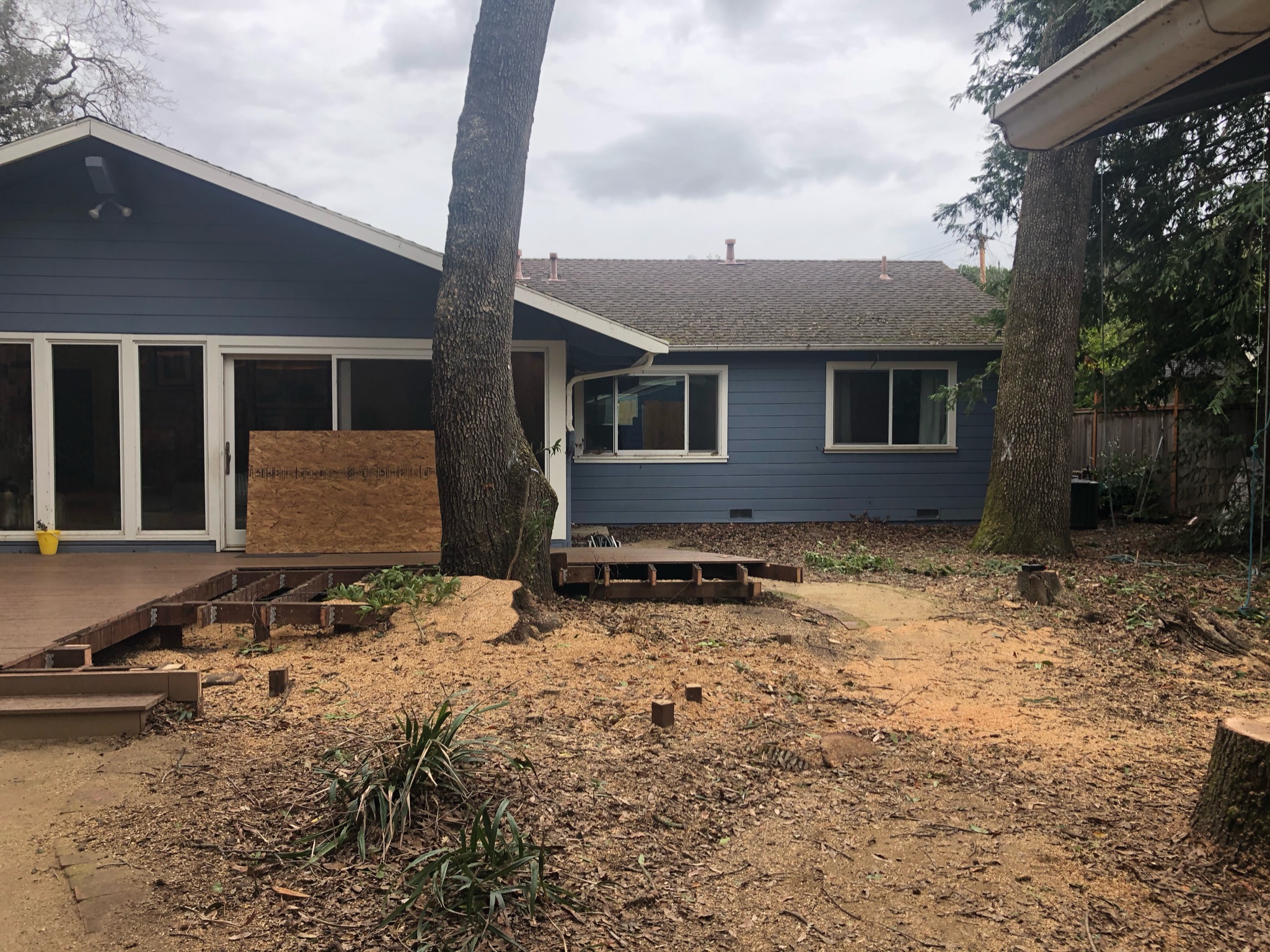 Addition construction - tree removal and site prep