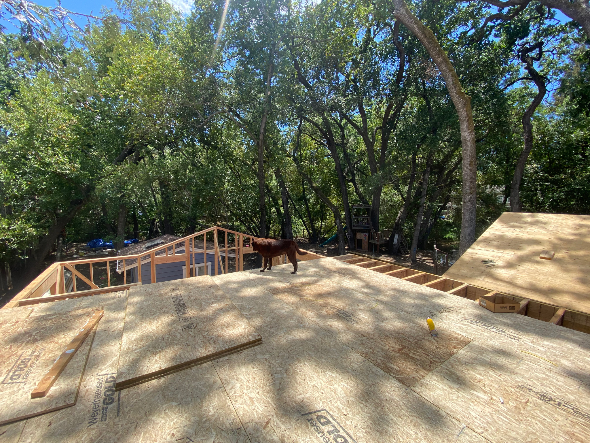 Upstairs construction - initial framing
