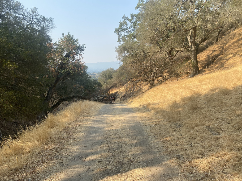 Trail landscape