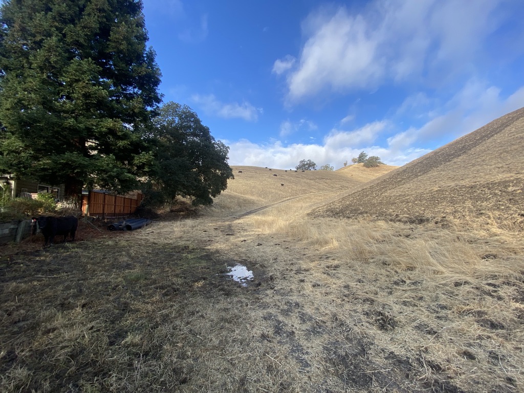 Landscape view