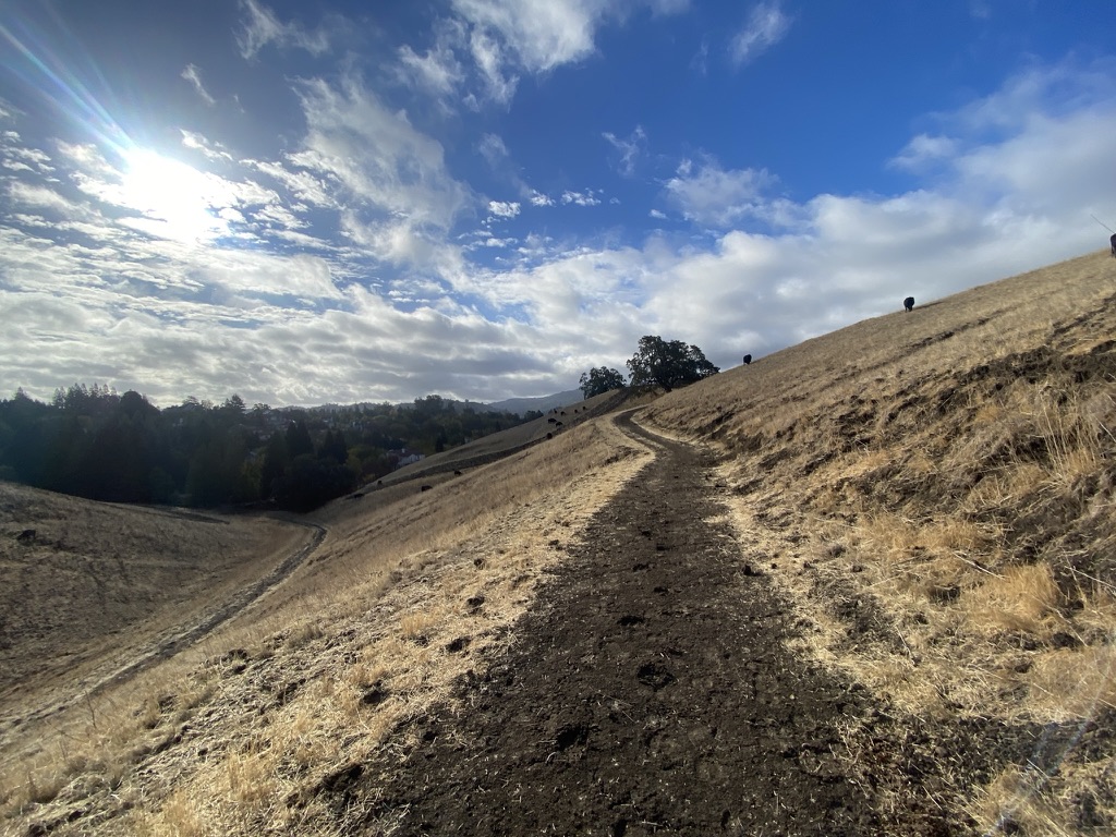 Ridge view