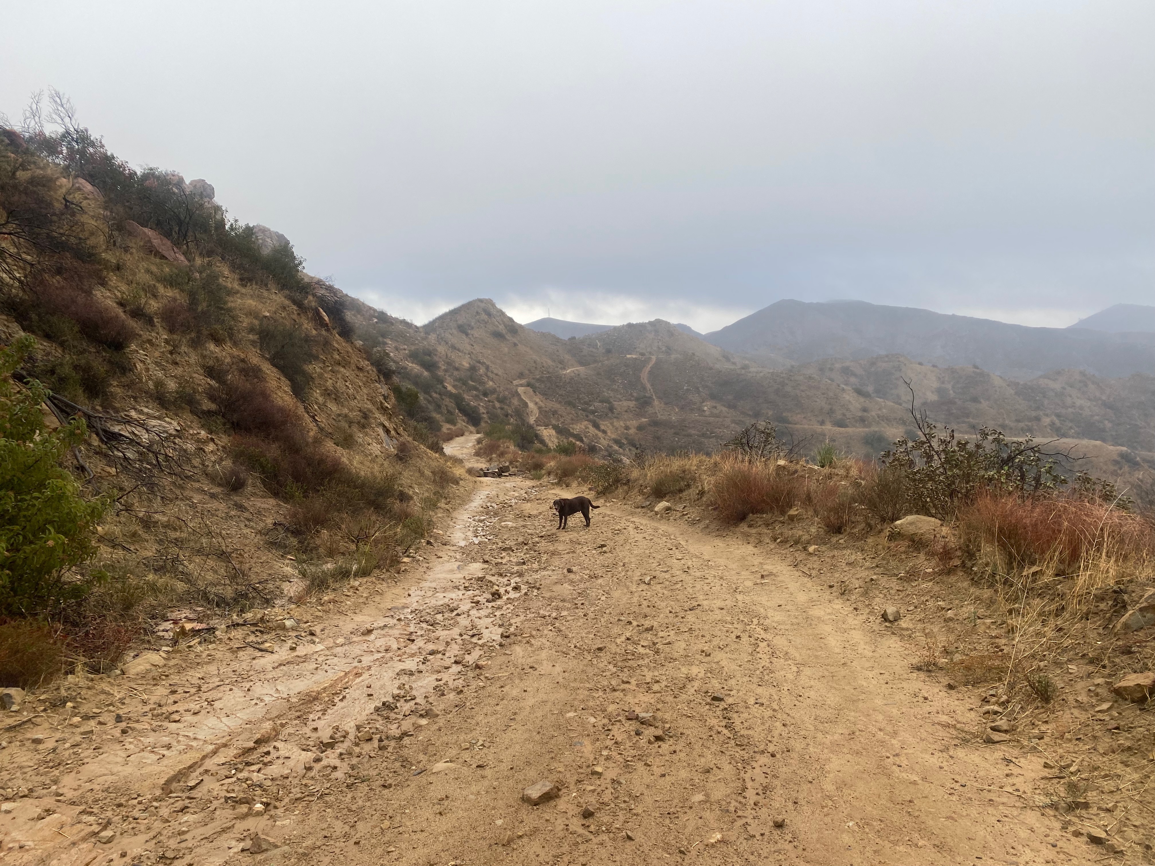 Trail image