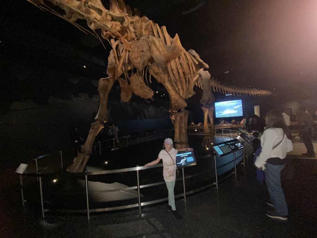 Lily at the museum