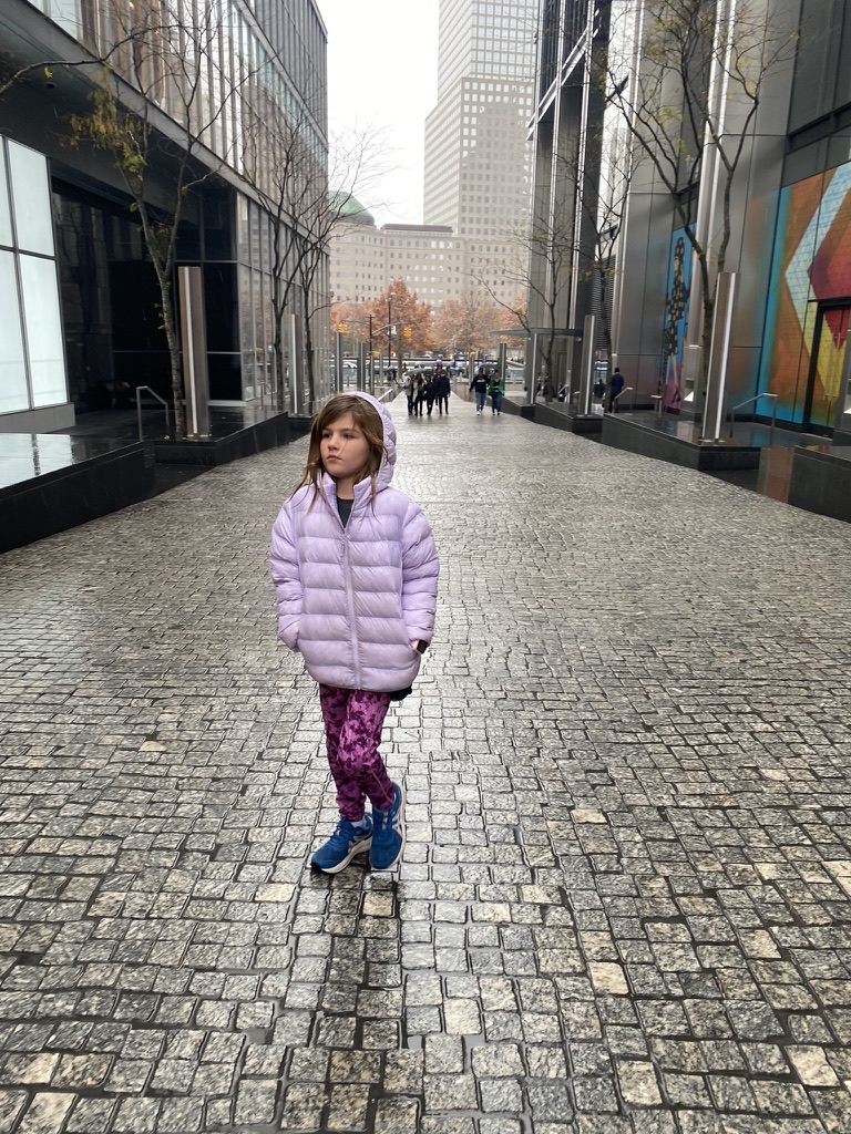 Walking through Wall Street