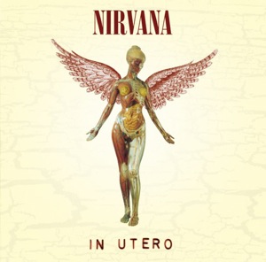 Nirvana In Utero album cover