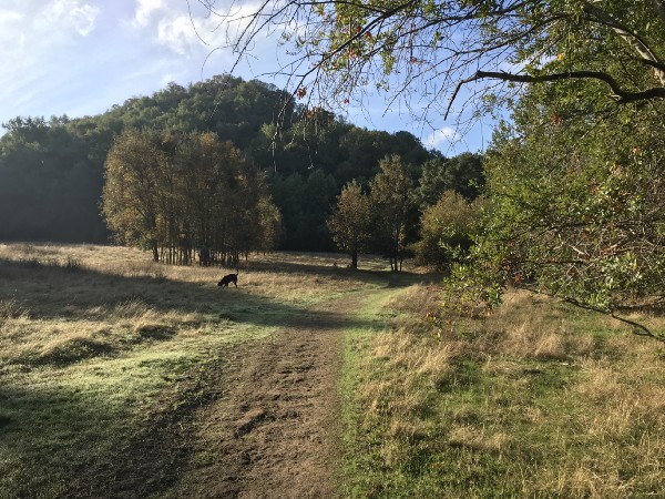 One of the many hiking trails