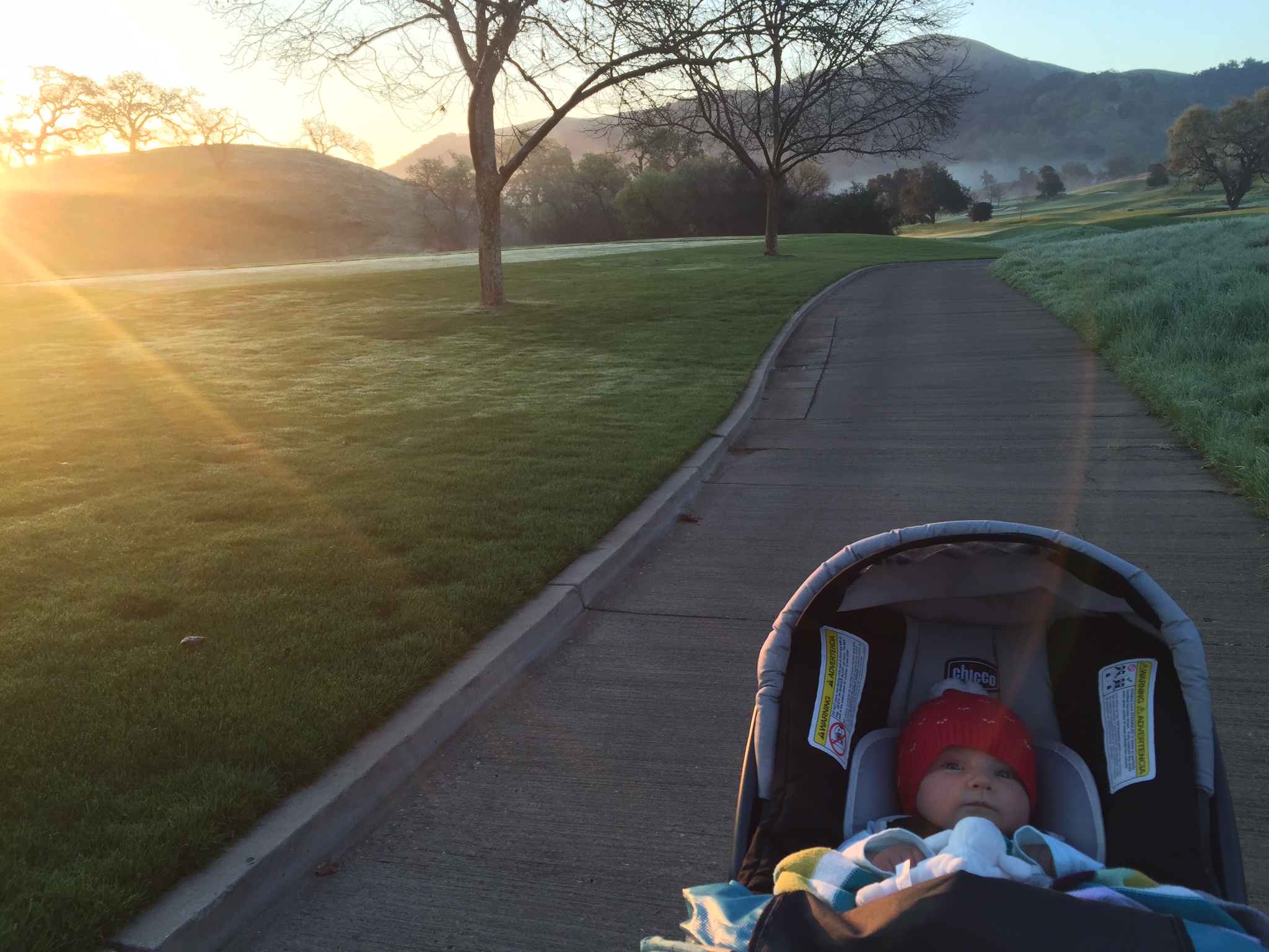 Stroller memories 2